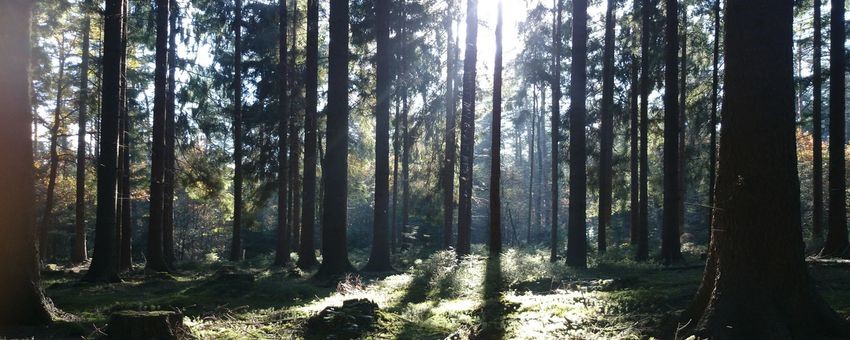 Anthropozän - Chronologie zum Klimawandel