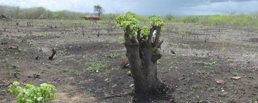 Anthropozän - Chronologie zum Klimawandel